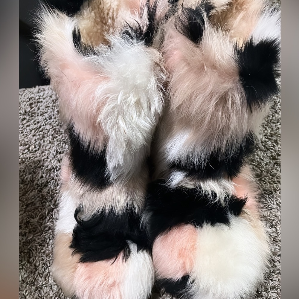 Furry Multi Color Ugg Boots